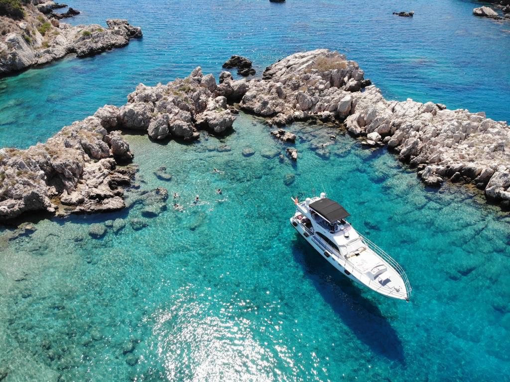 Miga Plus - фото 1